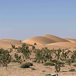 Les paysages Mauritaniens