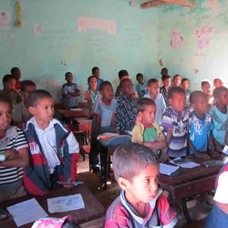 Actions dans le domaine de l'Education